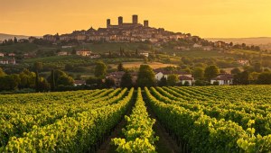 Prosecco Tour and visit of Medieval Towns - Half Day