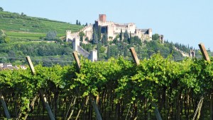 VERONA AND VALPOLICELLA DAY TOUR FROM VENICE
