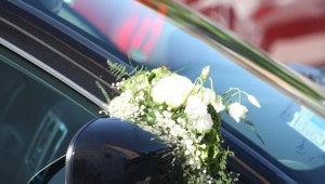 Servizi cerimoniali con Mercedes e chauffer: autista privato per matrimoni ed eventi, servizi matrimoniali a venezia
