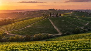 Colli del Prosecco e Citt&agrave; Medievali - Giornata Intera